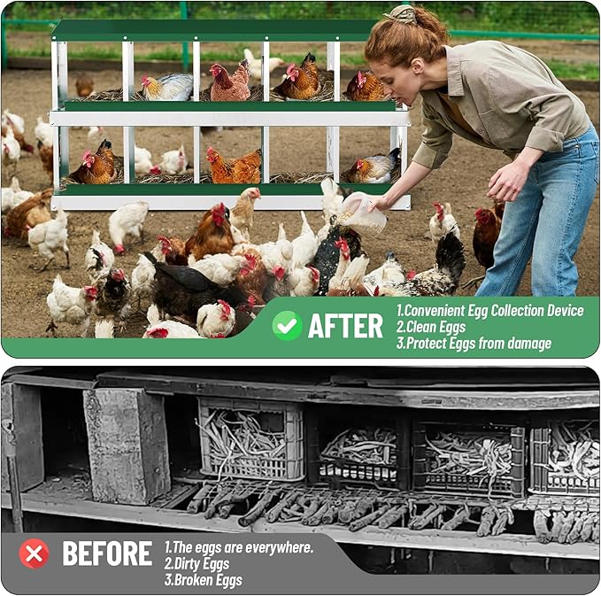 Chicken Nesting Box,10 Compartment Metal Poultry Nest Box Wall Mount, Metal Roll Away Eggs Laying Boxes, Easy Egg Collection, Easy Cleaning,10 Room Chicken Coop for Hens