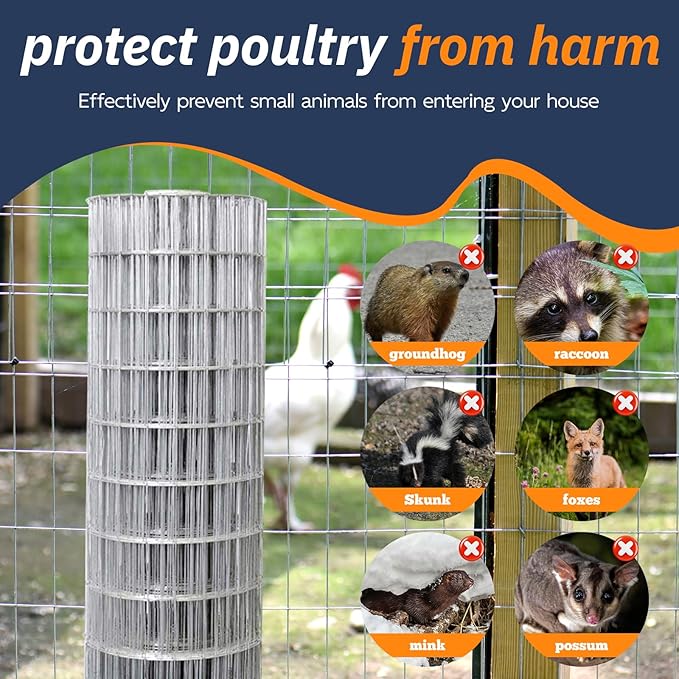 5'×50' Welded Wire Mesh, Galvanized Chicken Wire Fencing 2'' X 4'' 15GA, Garden Decorative Fence for Chicken Coop Barrier, Rabbit Snake Fences, Poultry Enclosures