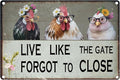 Vintage Chicken Wall Sign – 8x12” Farmhouse Rooster Decor with “LIVE LIKE THE GATE FORGOT TO CLOSE” Quote – Rustic Waterproof Metal Plaque for Kitchen, Porch, Coop, Chicken Mom Gift-B