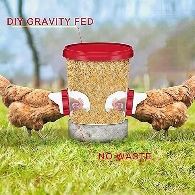 Chicken Feeders No Waste, DIY Automatic Poultry Feeder 6 Ports 1 Hole Saw with Covers Gravity Feed Kit for Buckets Barrels Bins Troughs (Red, 6)