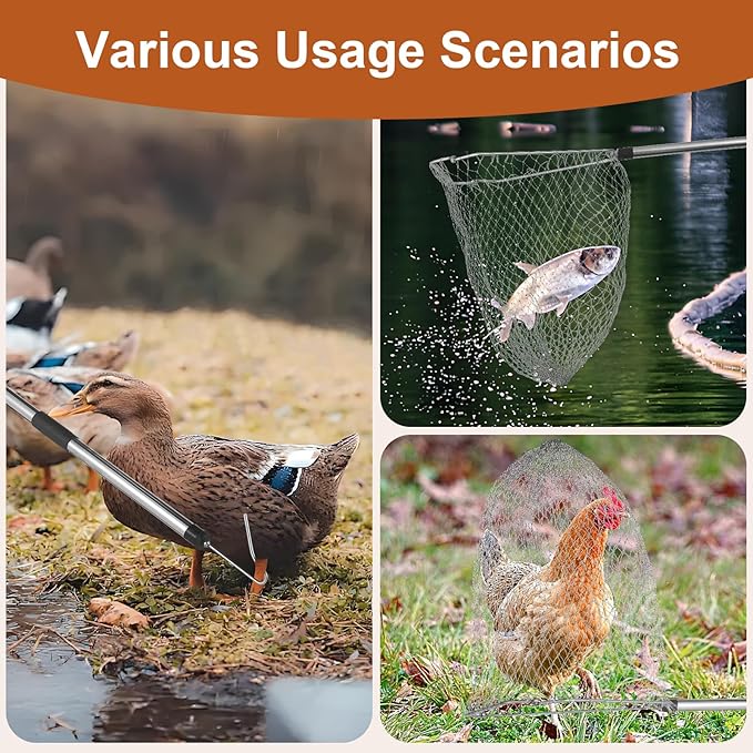 Chicken net Catcher, Chicken coop Accessories, 75 -inch Thickened Stainless Steel Catcher net, Suitable for Poultry and Outdoor Animals Such as Chickens, Birds, Goose, Duckling, Fish, etc.