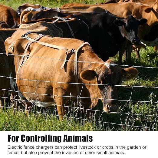 PE2 Electric Fence Charge Electric Fence Energizer, 2-Mile/ 8 Acres Electric Fence Charger,Livestock Fence Chargers for Containing Dogs, Livestock and Preventing Wild Animals Intruding