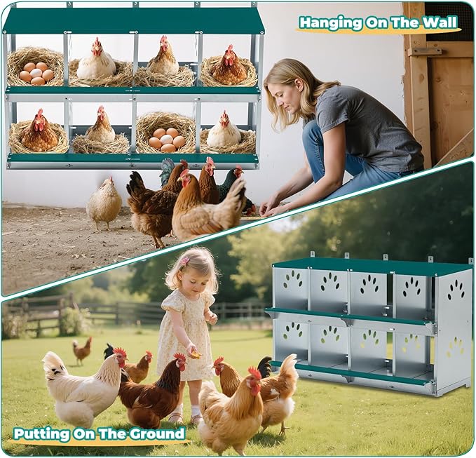 Chicken Nesting Boxes, Wall Mountable Metal Chicken Coop Nesting Box, Easy Egg Collection Roll Away Nesting Boxes Chicken, Roosting Boxes for Chickens, 8 Compartments