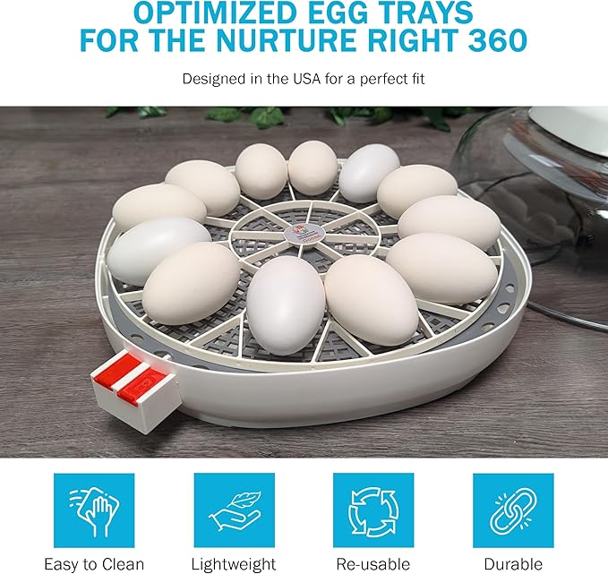 Incubator Warehouse Egg Trays for 11 Large (Goose/Turkey) Eggs - Durable Egg Tray for Nurture Right 360 Egg Incubator - Hand Washable Eggs Keeper for Chicken Goose Turkey Emu (Various Sizes)