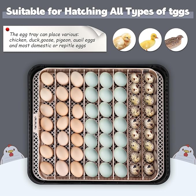Sailnovo 56 Egg Incubator for Hatching Eggs with Automatic Egg Turning and Auto Humidification, Temperature Control, Egg Candler, Incubator for Chicken Eggs, Gray
