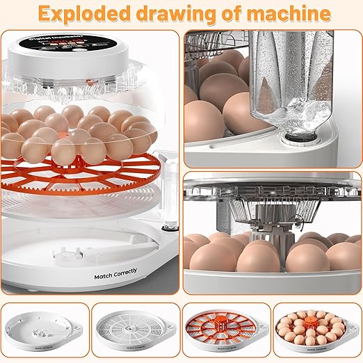 12 Egg Incubator for Hatching Eggs with Automatic Egg Turning, Temperature & Humidity Control Display, Built-in LED Egg Candler, External Water Adding System, Chicken Duck Quail Hatcher