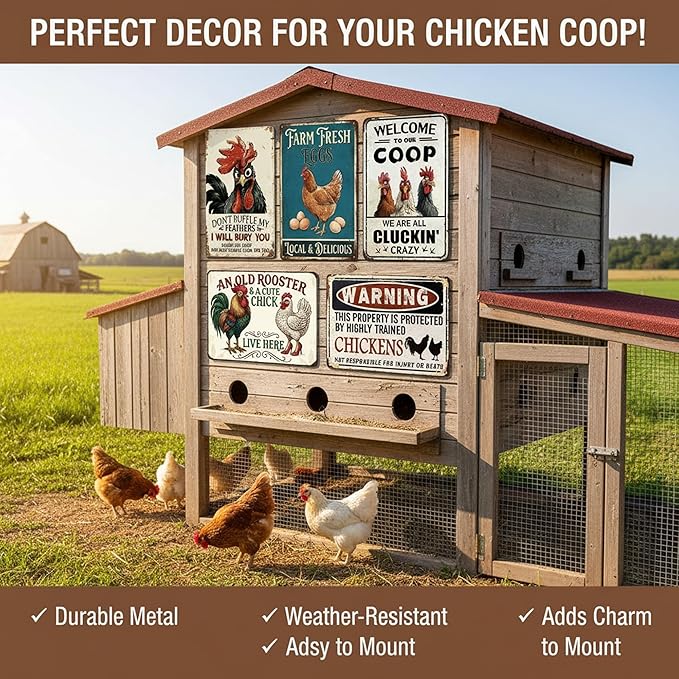 5Pack Vintage Metal Signs Chicken Coop Signs, Chicken Coop Accessories for Farm Yard Decor, Tin Sign Chicken Gifts for Home Kitchen Lovers Chicken House Decor - 8×12 inches