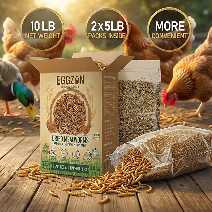 Dried Mealworms,10 lbs(2x5lb Bags),100% Natural Non-GMO, High Protein,All-Natural Chemical-Free Feed for Chickens, Ducks, Reptiles, Birds Food, Hedgehogs & Bearded Dragons, Insect Larvae