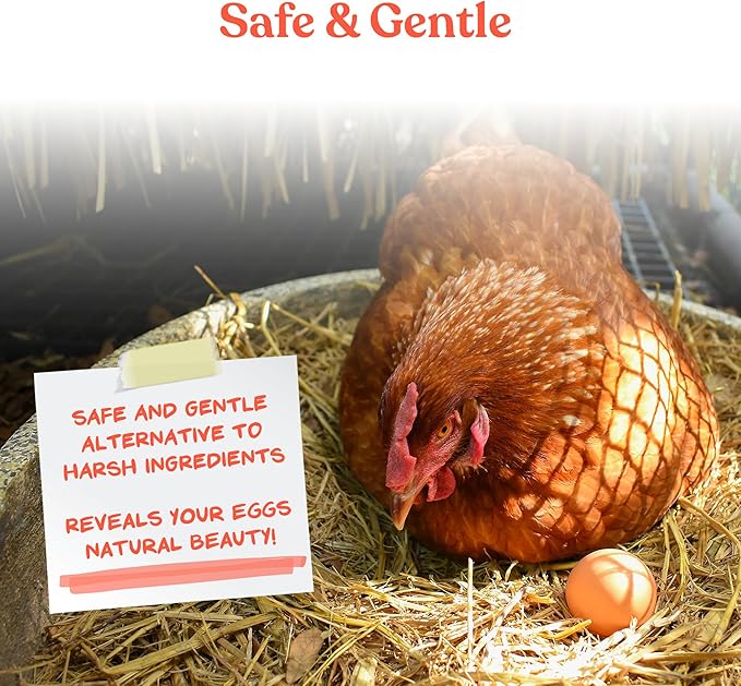 Manna Pro Egg Cleanser, Natural Enzyme Wash for Fresh Eggs, Safe & Gentle Cleaner for Backyard Chicken Eggs, 16 oz