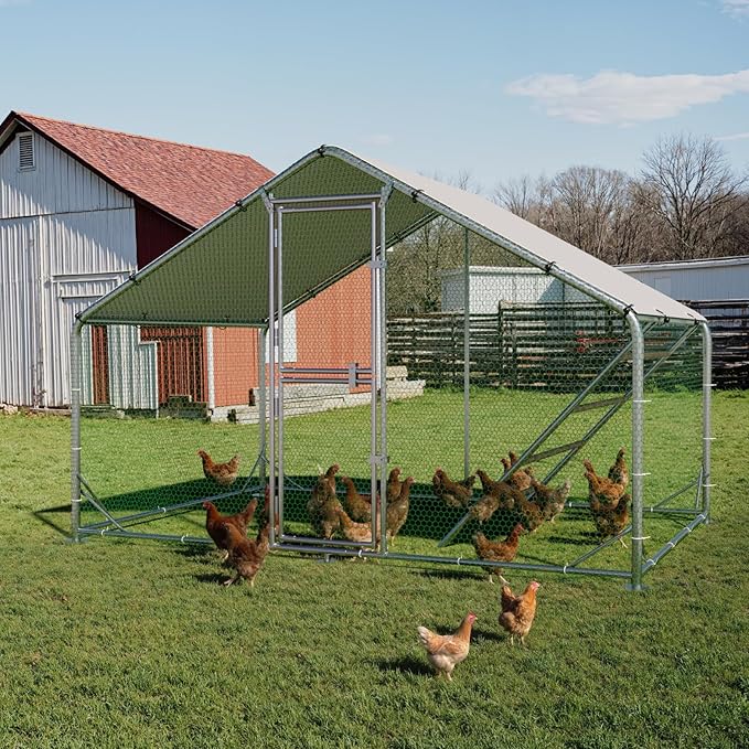 Large Metal Chicken Coop, Chicken Runs for Yard with Cover, Walk-in Chicken Run, Outdoor Chicken Pen, Heavy-Duty Galvanized Frame with Roosting Ladder,10x6.5x6.5FT