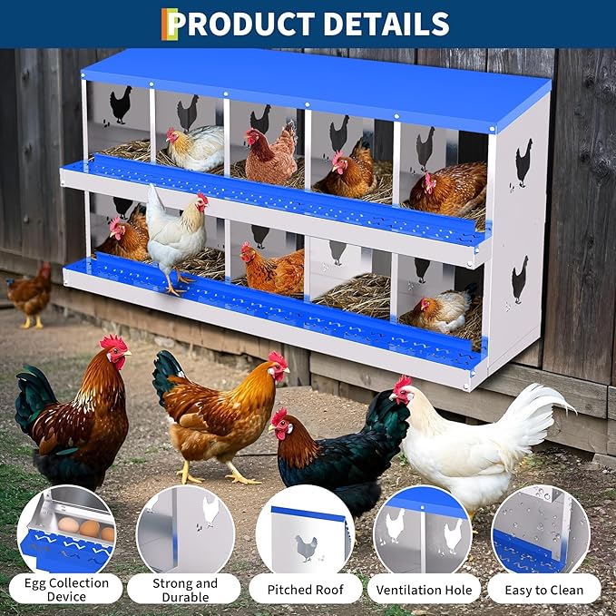 10 Compartment Metal Chicken Nesting Box, Automatic Roll-Out Egg Collection, Waterproof Galvanized Steel Laying Box, for Hens Ducks Rabbits, Blue