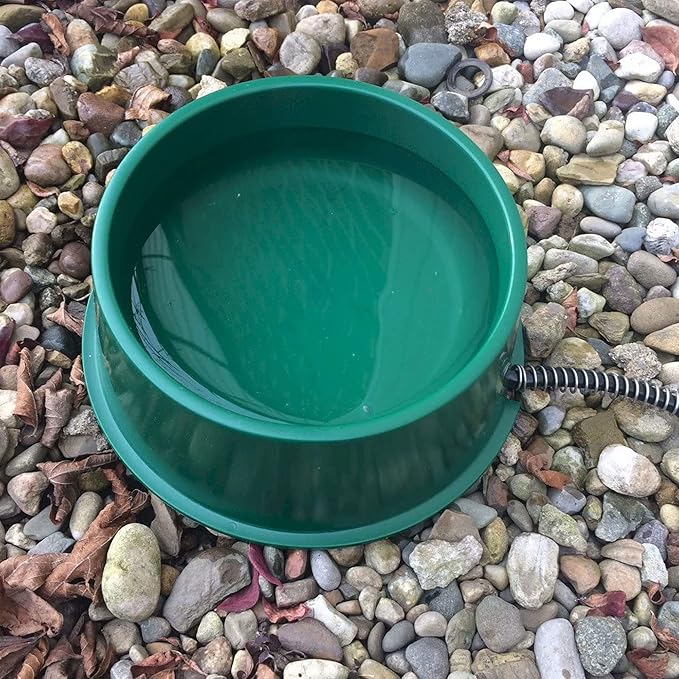 Farm Innovators QT-1 1 Quart Electric Heated Pet Water Bowl with Thermostatic Control and Anti Chew Cord Protector, 25 Watt, Green (4 Pack)