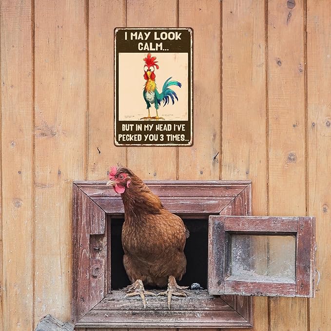 I May Look Calm' but in My Head I’Ve Pecked You 3 Times Chicken Coop Metal Tin Sign Decor Humorous Farmhouse Wall Art Home Farmhouse Farm Decor Chicken Coop Accessories 8x12 Inch