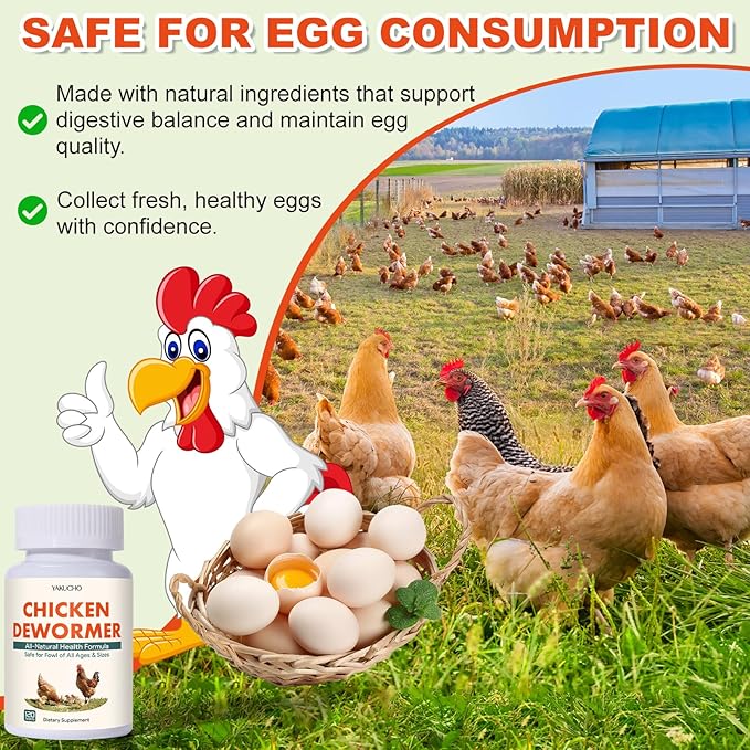 Chicken Gut Health Supplement – Natural Herbal Formula for Chickens, Chicks, Roosters & Turkeys, Supports Digestive Health & Internal Balance, Safe for Layers & Egg Production, 120 Easy-Feed Tablets