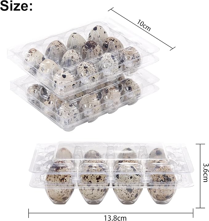 120 Pcs Quail Egg Cartons, Square Dozen Egg Basket, 3x4 Style Holds Up to Twelve 12 Count Small Eggs Box, Bulk Carton Pigeon Eggs Tray Container for Refrigerator