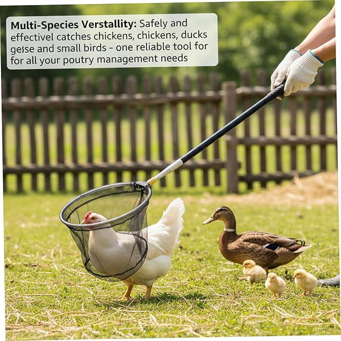 Chicken Net Adjustable Animal Net with Handle 16-60 Inch Telescoping Steel Pole with Folding Head for Catching Birds Poultry and Small Animals Chicken Butterfly Fishing Bird Catc