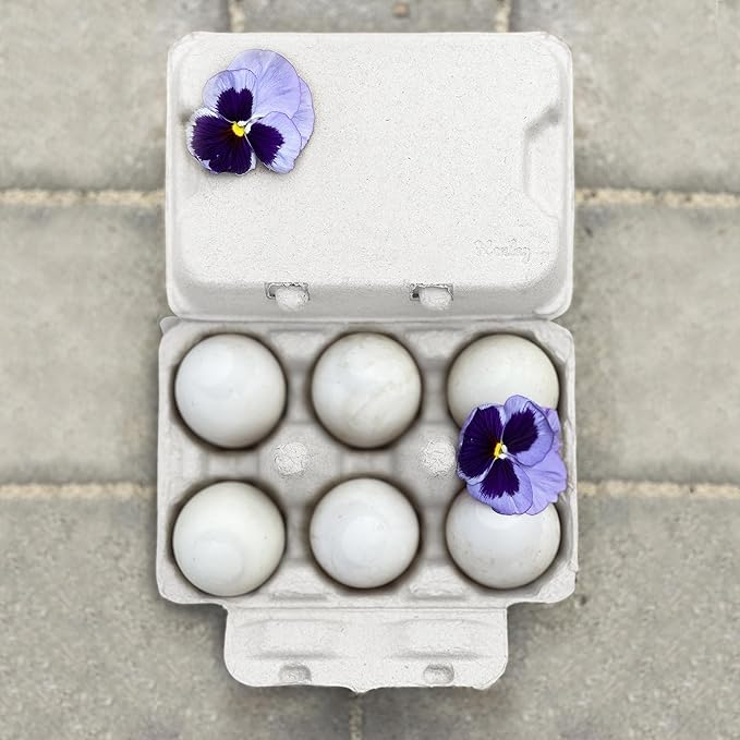 Henlay White Half Dozen Duck Egg Cartons – Holds 6 Jumbo Eggs – Blank Top for Custom Labels – Eco-Friendly Paper Pulp – Ideal for Farm Fresh or Backyard Eggs - 20 Pack