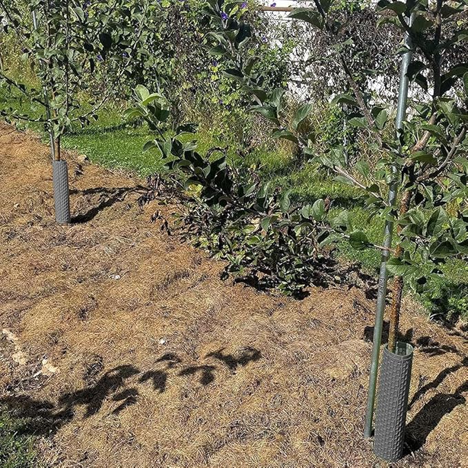 15" Tree Trunk Protectors, Stackable Spiral Tree Guards, Adjustable Width Bark Protection from Weed Eaters, Deer & Rodents, Tall Sapling & Vineyard Vine Protectors, Durable Plastic (6, Slate)