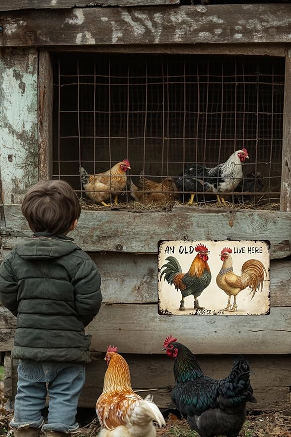 Funny Chicken Metal Sign An Old Rooster A Cute Chick Live Here Vintage Tin Sign For Home Farm Chicken Coop Farmhouse Kicthen Garden Decor 12x8 Inch