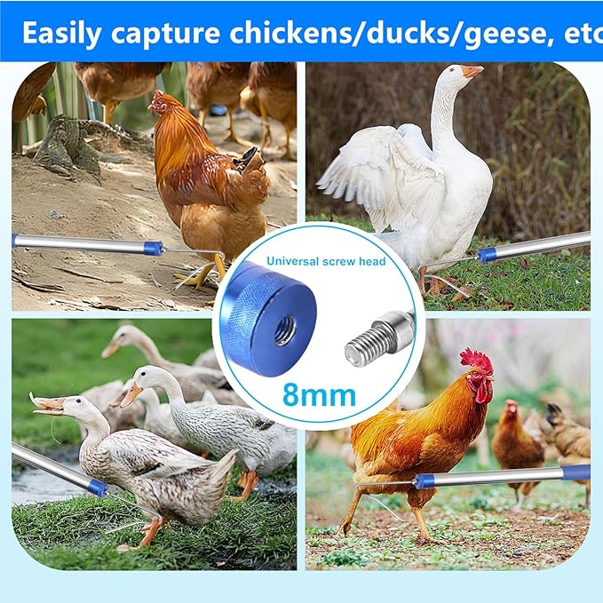 Chicken Catching Net，Adjustable 29-74 Inch Chicken Catcher Leg Hook Tool Kit,Long Handle Animal Catcher Pole Suitable for Catching Small Duck,Goose,Bird, Skunk Bat and Fishnet etc（15 x 23.2 Inch Net）