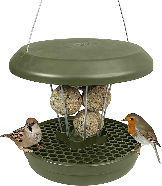 SWISSINNO Bird Feeders - No Mess Fat Ball/Suet Feeder for Outdoors Hanging - Smart Birds Lucerne Spill Proof Wild Cardinal Bird Feeder with Integrated Seed Catcher Tray - Green