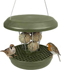 SWISSINNO Bird Feeders - No Mess Fat Ball/Suet Feeder for Outdoors Hanging - Smart Birds Lucerne Spill Proof Wild Cardinal Bird Feeder with Integrated Seed Catcher Tray - Green