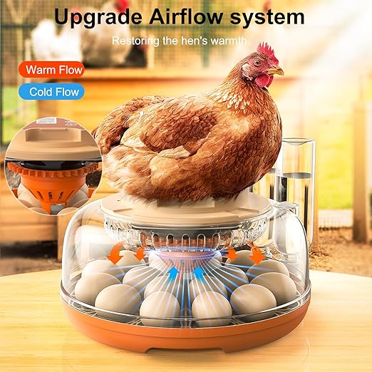 18 Egg Incubator, Automatic Turning with Temperature & Humidity Control, Egg Candler, 360 View with Air Vent, Auto Water Bottle Refill, Chicken Incubator for Hatching Eggs