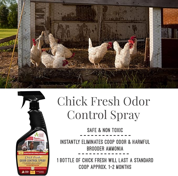 Chicken's Choice Chicken Dust Bath, 6 lb Natural Volcanic Ash Dust Bath for Chickens with Chick Fresh Odor Control and Eliminator 24 oz Spray Bottle. Made in America