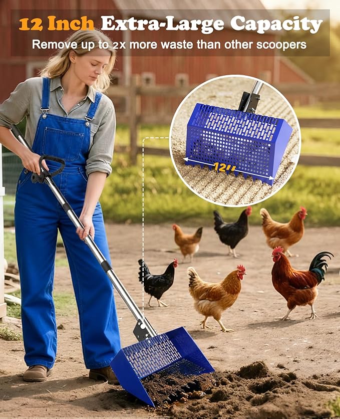 INNOLAND Chicken Poop Scooper & Rake with 3-Angle Adjustable Sifting Shovel, 12" Stainless Steel Chicken Coop Scoop for Sand, 22-64" No-Bend Poultry Litter Cleaner for Chicken Coop & Animals House