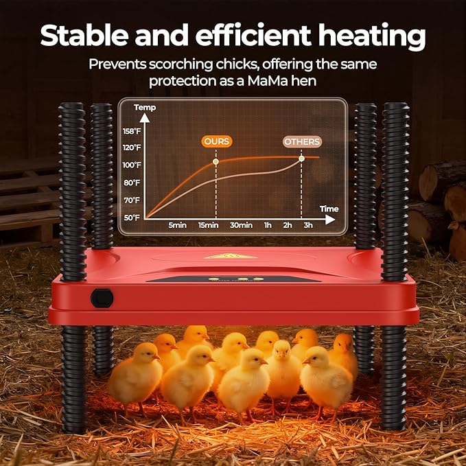 Chick Brooder Heating Plate for Winter, Chick Heating Plate with Thermal Protector, Adjustable Temp & Height, Energy Efficient Heater, 10"x10" for 10-12 Chicks