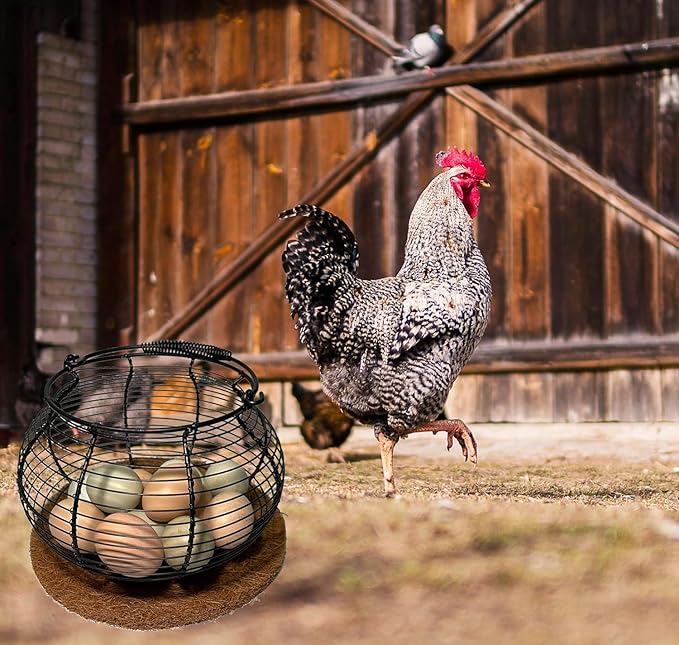 Egg Basket for Gathering Fresh Eggs, Retro Handle Egg Gathering Basket with Mat, Metal Egg Holder Countertop, Chicken Egg Basket for Farmhouse (Off-white)