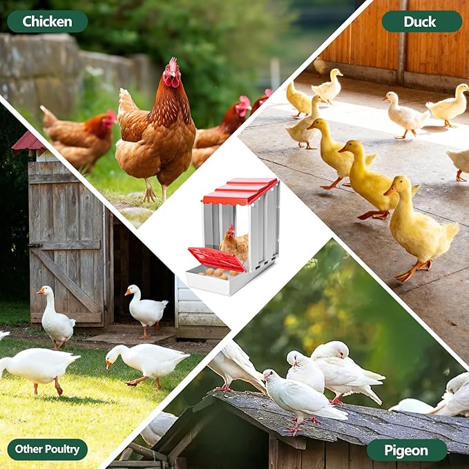 Chicken Nesting Box,Single-Pack Freely Combinable & Easy to Assemble Nesting Boxes for Chickens