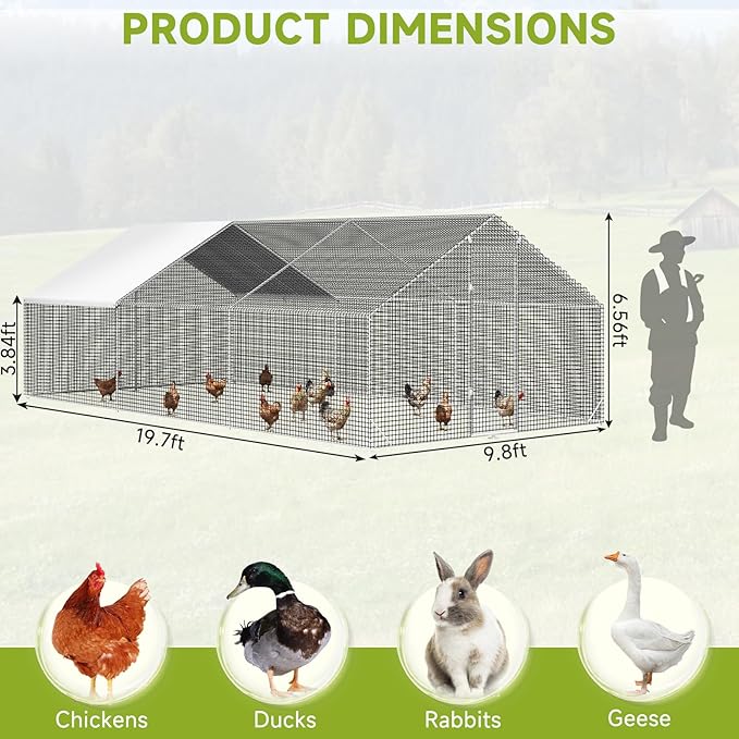 LEVELEVE Large Walk-in Chicken Coop with Chicken Run, Galvanized Poultry Enclosure with Waterproof Anti-UV Cover and Security Lock, Ideal for Rabbit, Duck, Backyard and Farm Yard, 19.7'x 9.8'x 6.6'