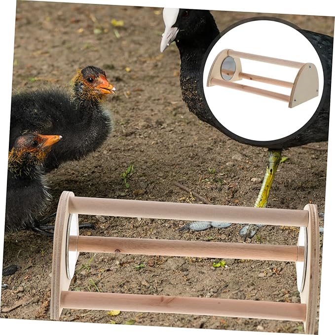 BESPORTBLE Strong Chicken Roosting Bar Chick Perch Wooden Chick Perch Stand Bird Training Stand