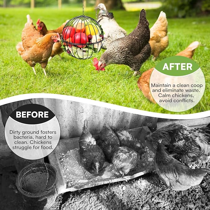 Hanging Chicken Feeder, 7.1 Inch Large Chicken Vegetable Hanging Feeder, Treat Holder with 15.7 Inch Hanging Chain Treat Ball Feeding Tool for Poultry (Black)