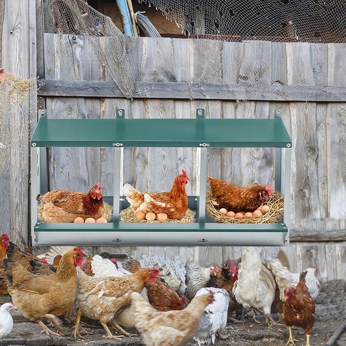 Chicken Nesting Box for Laying Eggs - 3 Room Chicken Laying Boxes, Nesting Boxes for Chickens, Heavy Duty Metal Chicken Coop, 32.9" L x 16.34" W x 15.35" H