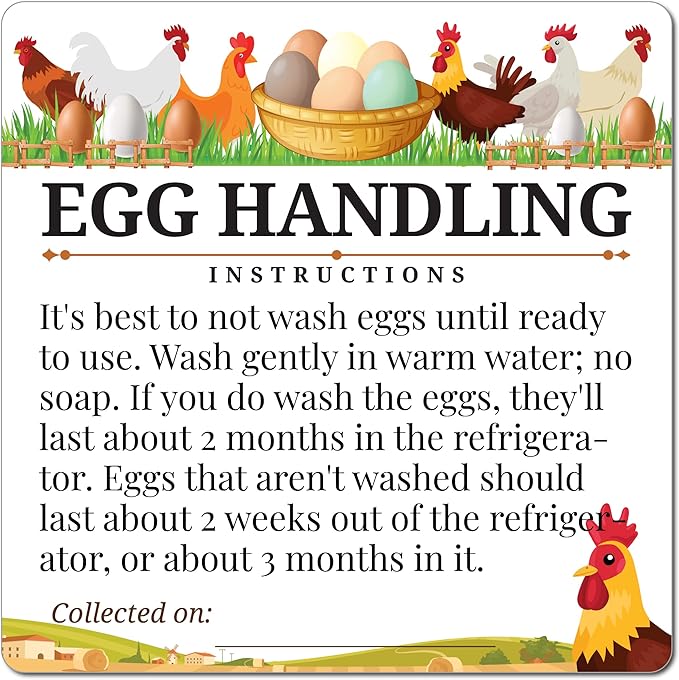 100pcs Premium Fresh Farm Eggs Handling Care Instructions Stickers Labels Accessories | 4 6 12 15 18 30 48 50 Egg Blank Cartons Basket Box Container Storing Extra Organizer (M02-3SS)