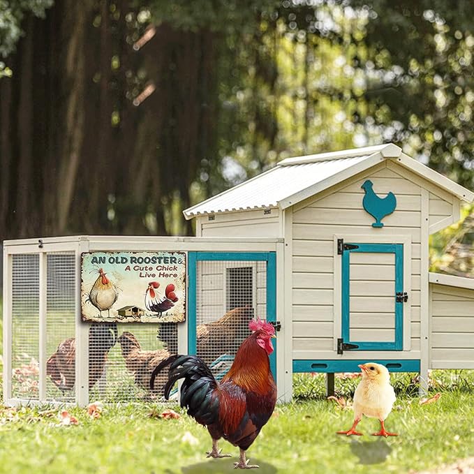 Funny Chicken Metal Sign Outdoor, Aluminum Farmhouse Wall Decor for Coop Door or Yard Area, Fluffy Humor Country Living Style, Rustic 8x12 Inch Gift