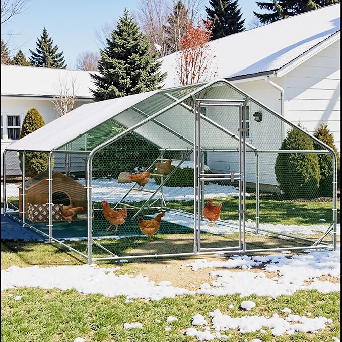 Large Metal Chicken Coop, 10x20x6.5FT Chicken Runs for Yard with Cover and Roosting Perch, Split Doors Walk in Chicken Coop