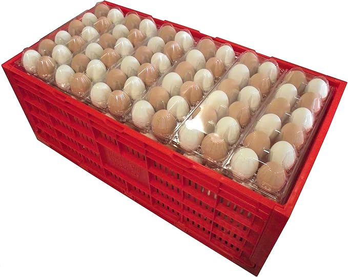 RITE FARM PRODUCTS EGG TRAY CARTON TRANSPORT CRATE CHICKEN SHIPPING POULTRY CASE