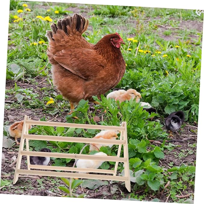 Chicken Roosting Bar for Chicks Wooden Perch Stand for Poultry Habitat Easy to Clean Compact Design for Chickens and Coop Enrichment