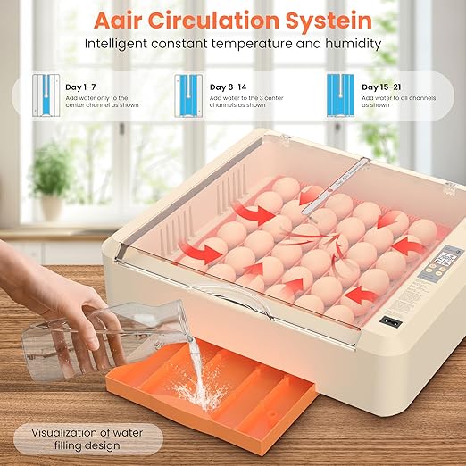 36-60 Egg Incubator with Automatic Egg Turning and Humidity Control, Adjustable Chicken Egg Incubator with Digital Display, for Hatching Eggs Include Chicken Duck Quail Eggs(Orange)