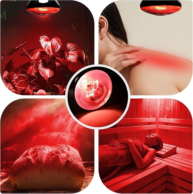 250W 2 Pack Red Reptile Heat Lamp Bulb for Chick Brooder,Infrared Heating Light Bulb for Reptiles,Chicken,Farm Animals,Bathroon,Food,Poultry,Shatterproof,E26 Base with Temperature Sticker