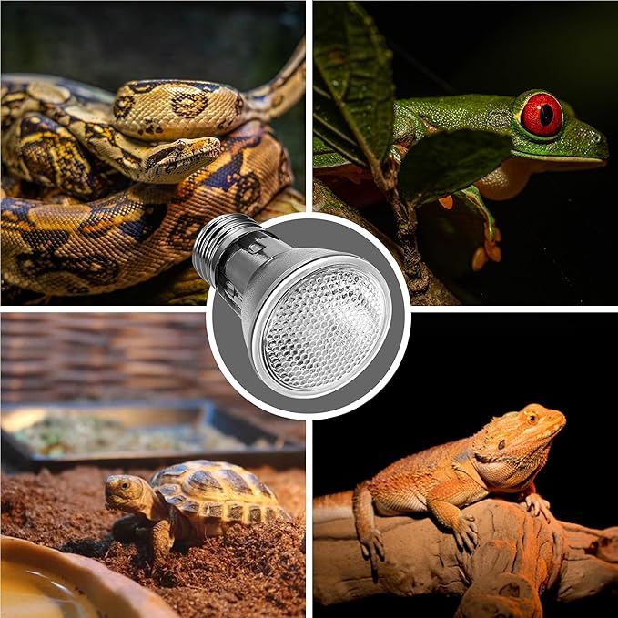 Briignite Reptile Heat Bulb 2 Pack, 75W UVA Reptile Light Bulbs, Dimmable Heat Lamp Bulbs Basking Spot Light Bulb for Reptiles, Amphibian, Bearded Dragon, Lizard, Chicken