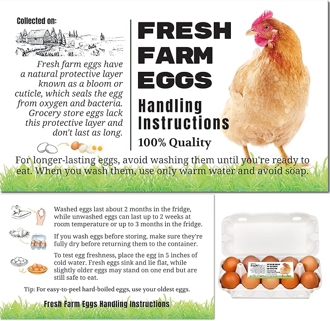 100 Pack Premium Fresh Farm Eggs Handling Instructions Care Accessories Cards Labels | Egg Blank Cartons 4 6 12 15 18 30 48 50 Count Basket Box Container Storing Extra Organizer -M11CH100