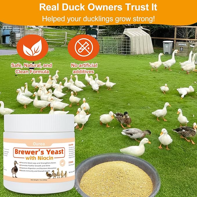 Ourea Brewer's Yeast with Niacin for Ducks, Supports Immunity Molt Recovery Severe Stress, Vitamins B Protein Amino Acids Supplement to Support Legs Bone Feather Health Growth Digestion for Duckling