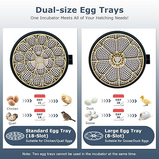 Incubators for Hatching Eggs, 18 Eggs Incubator with Egg Candler, Auto Egg Turner, Temp Control &Humidity Display, Hatch Day, Auto Water Refill, 2 Size Egg Tray, 360° Viewing for Chicken, Duck, Quail