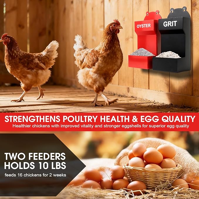 2 Pack Chicken Oyster Shell Feeder and Grit Feeder, Metal Hanging Chicken Feeder and Chicken Coop Accessories Improve Eggshell Quality and Hen Health
