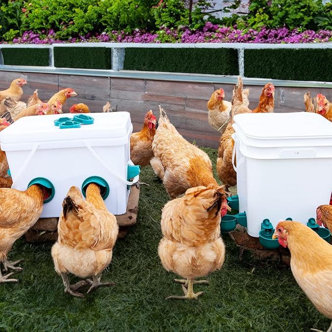 Chicken Feeder No Waste Automatic Poultry Feeder Port Kit Chicken Feeders and Waterer Set 6 Chicken Feeders Ports with 6 Chicken Water Cups