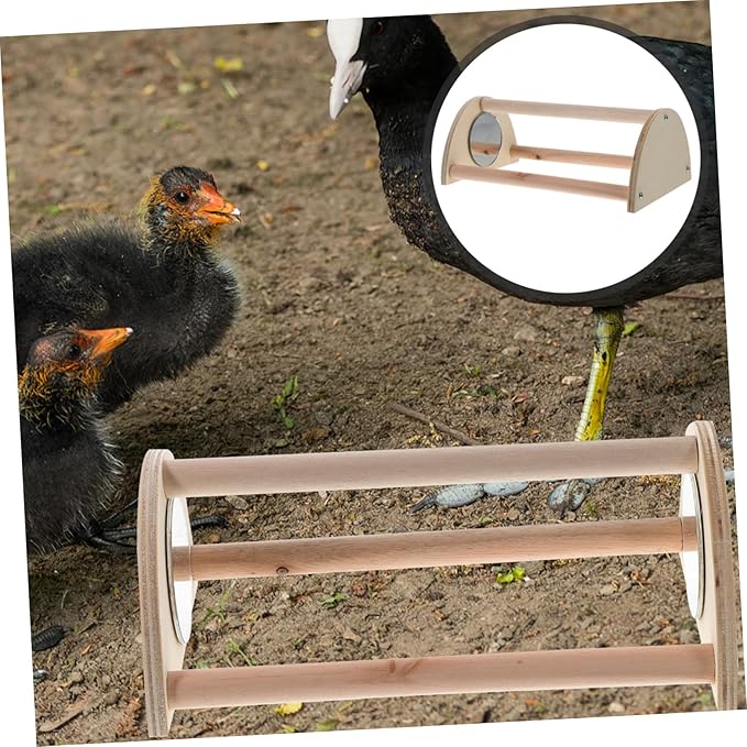 VANZACK 2pcs Wooden Chick Perch Roosting Bar for Chickens Chick Training Stand for Coop and Brooder Comfortable Resting and Playing for Poultry